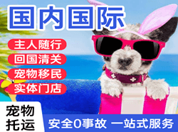 泉州空运代理国际宠物托运 【国